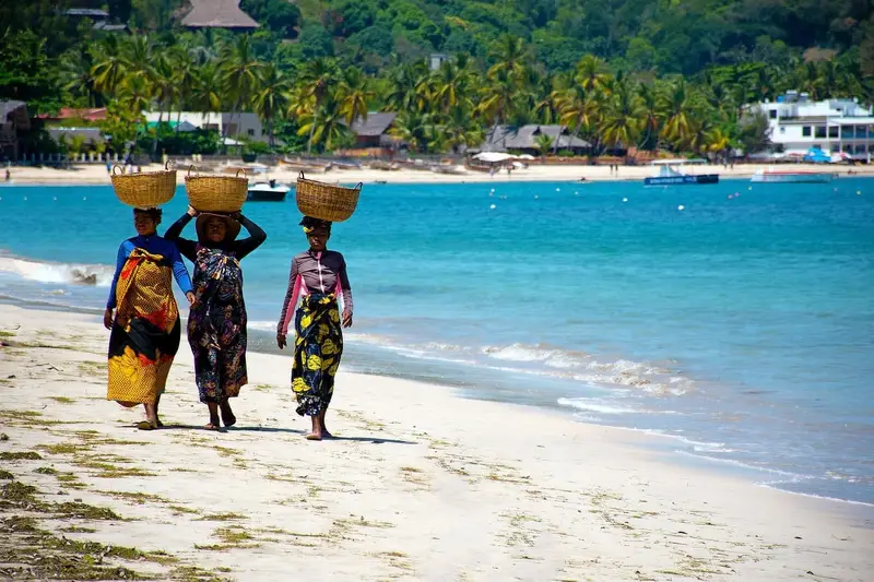 découvrez madagascar, une île fascinante de l'océan indien, célèbre pour sa biodiversité unique, ses paysages à couper le souffle et sa culture riche et variée. explorez ses plages de sable blanc, ses parcs nationaux protégés et plongez dans la gastronomie malgache pour une expérience inoubliable.