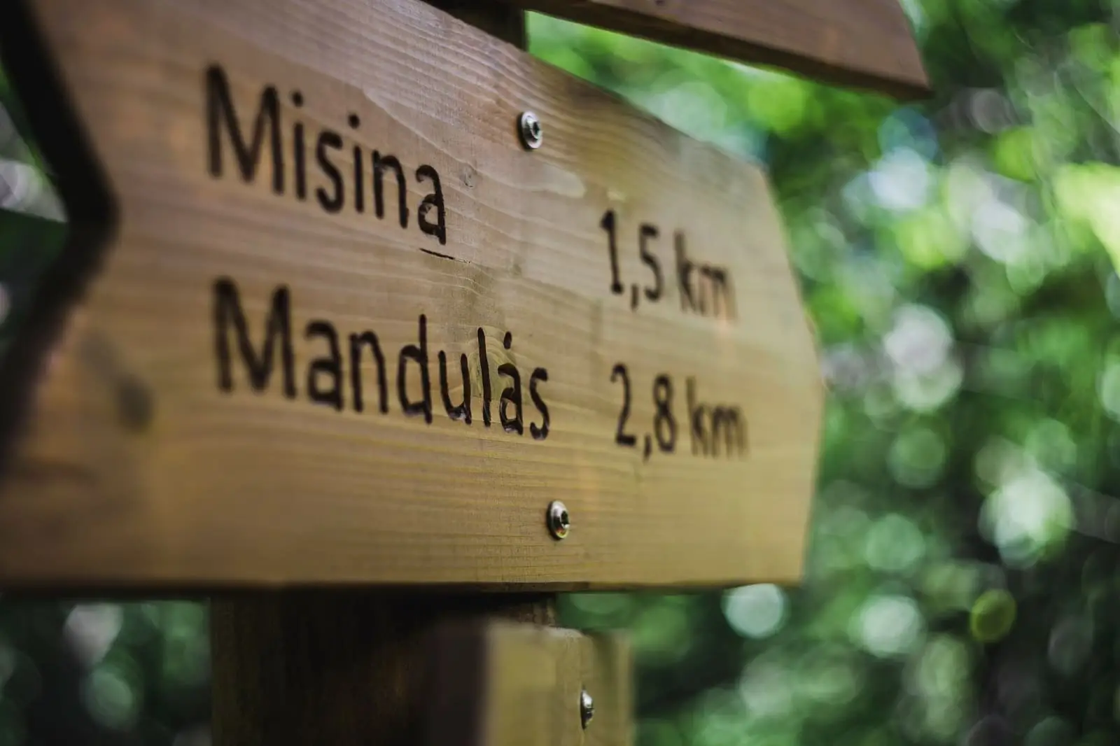 Découvrir l’est de Madagascar : un voyage au cœur des richesses culturelles et naturelles