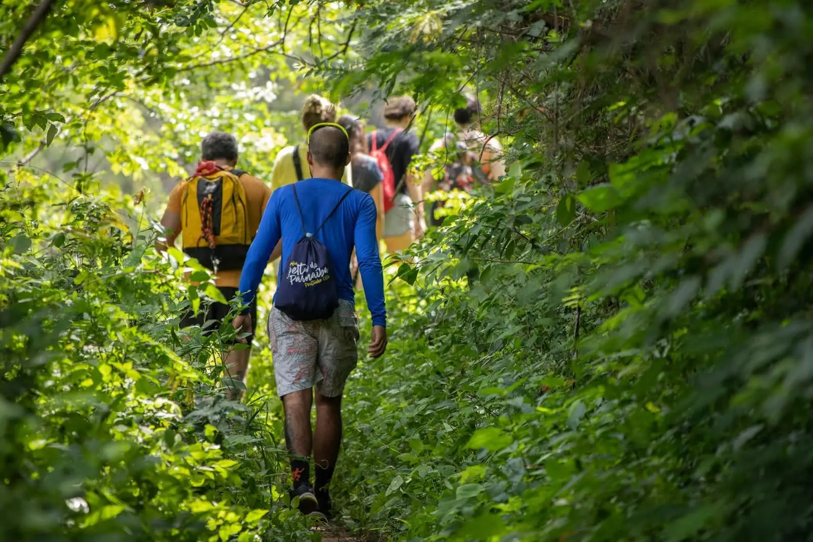 Séjour écologique à Madagascar : conseils et astuces
