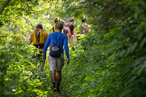 Séjour écologique à Madagascar : conseils et astuces
