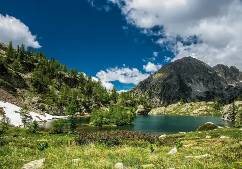 Le parc national d&rsquo;Andasibe : une aventure entre lémuriens et orchidées