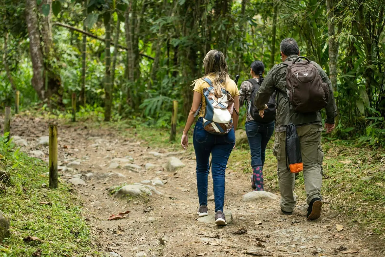 Les meilleurs moments pour visiter Madagascar et profiter de l&rsquo;écotourisme