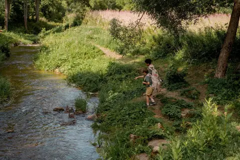 Aventure écotouristique à Madagascar : itinéraires recommandés