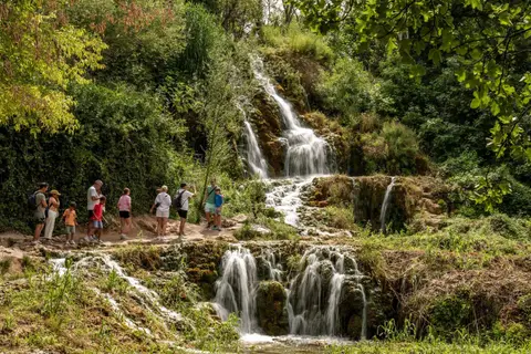 L&rsquo;importance de la sensibilisation à la conservation en voyage
