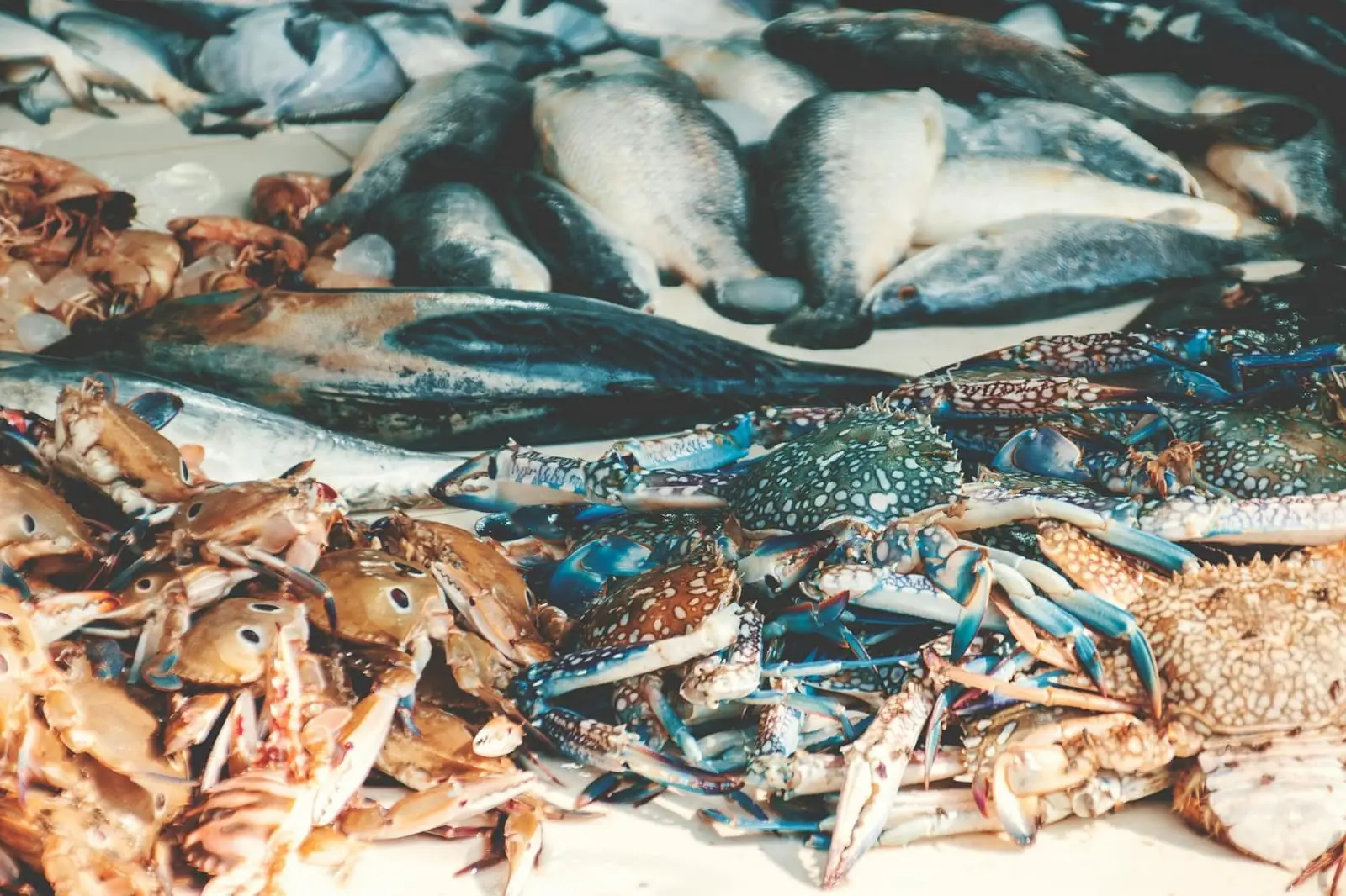 L&rsquo;impact des saisons sur la cuisine malgache