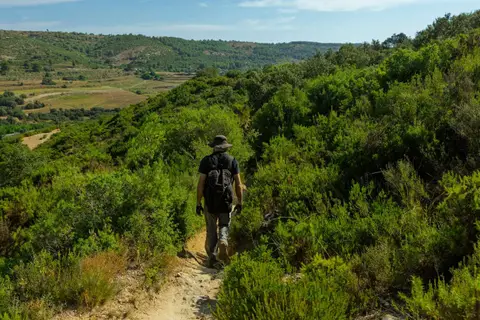 Les initiatives locales pour un tourisme écoresponsable à Madagascar