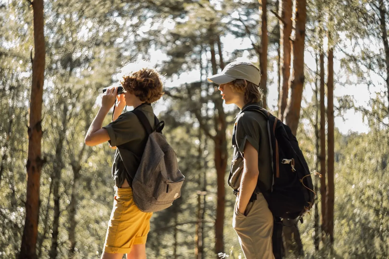 Inspirations pour un voyage d&rsquo;écotourisme à Madagascar